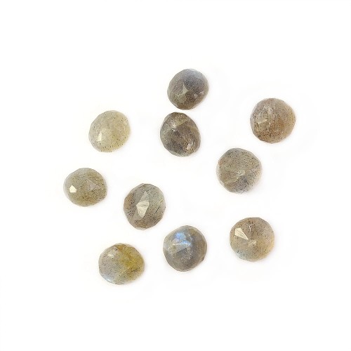 Labradoryt Brioletka (cebulka fasetowana) ok. 5-6x6mm [zestaw]