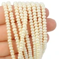 Perła hodowana oponka gładka ok. 4,5x2,5mm