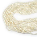Perła hodowana mini ryż ok. 4-6x3mm
