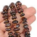 Bawole oko płaska bryłka nieregularna ok. 5-13x1-6mm
