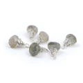 Labradoryt brioletka w oprawie srebrnej ok. 10x7mm