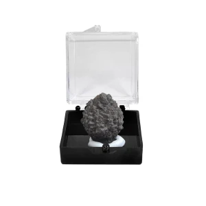 Markazyt z limonitem minerał ok. 20x19mm